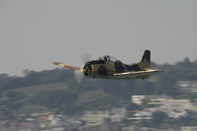 T28 (3)
